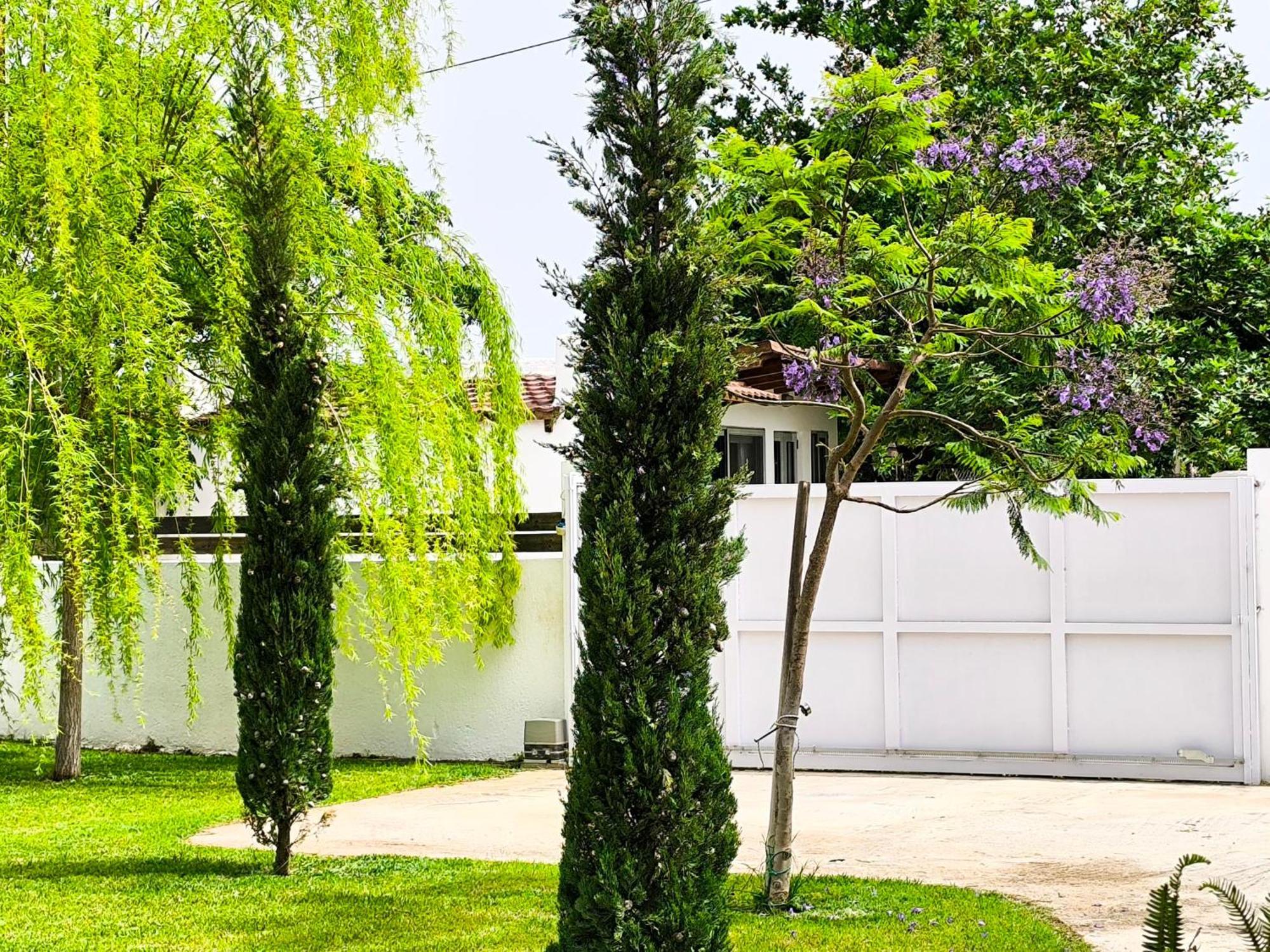 Ferienwohnung Seaside Jacaranda Schinias Exterior foto